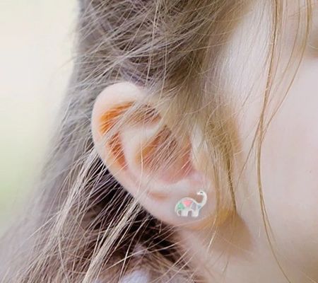 多彩のエナメル 恐竜 耳飾り 925 ステルリング シルバー 女の子向け