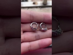 ロージウム 塗装 ユニコーン 色とりどりのエナメル ハグジー ティーンエイジャーの耳飾り ファッション 宝石